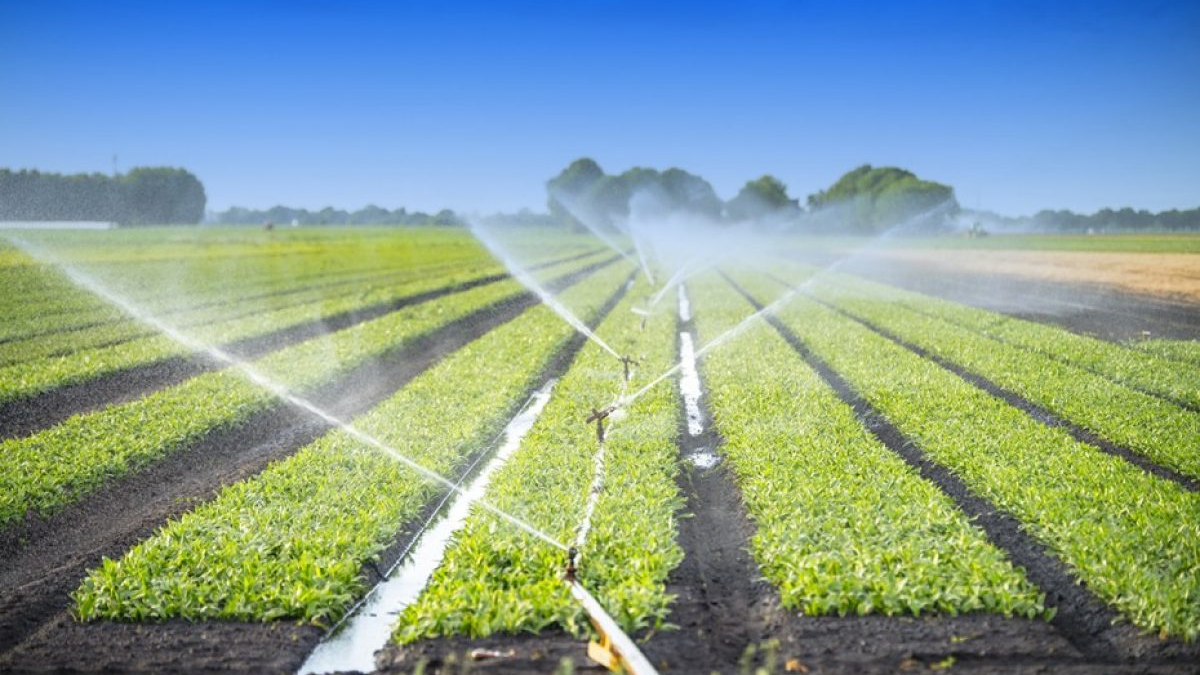 IRRIGATION AS A SERVICE TO SMALLHOLDER FARMERS
