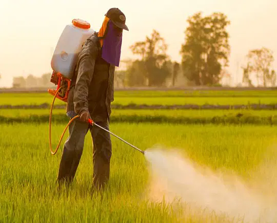 THE NEGATIVE EFFECT OF AGROCHEMICAL IN AMECHANIZED AGRICULTURE IN NIGERIA.