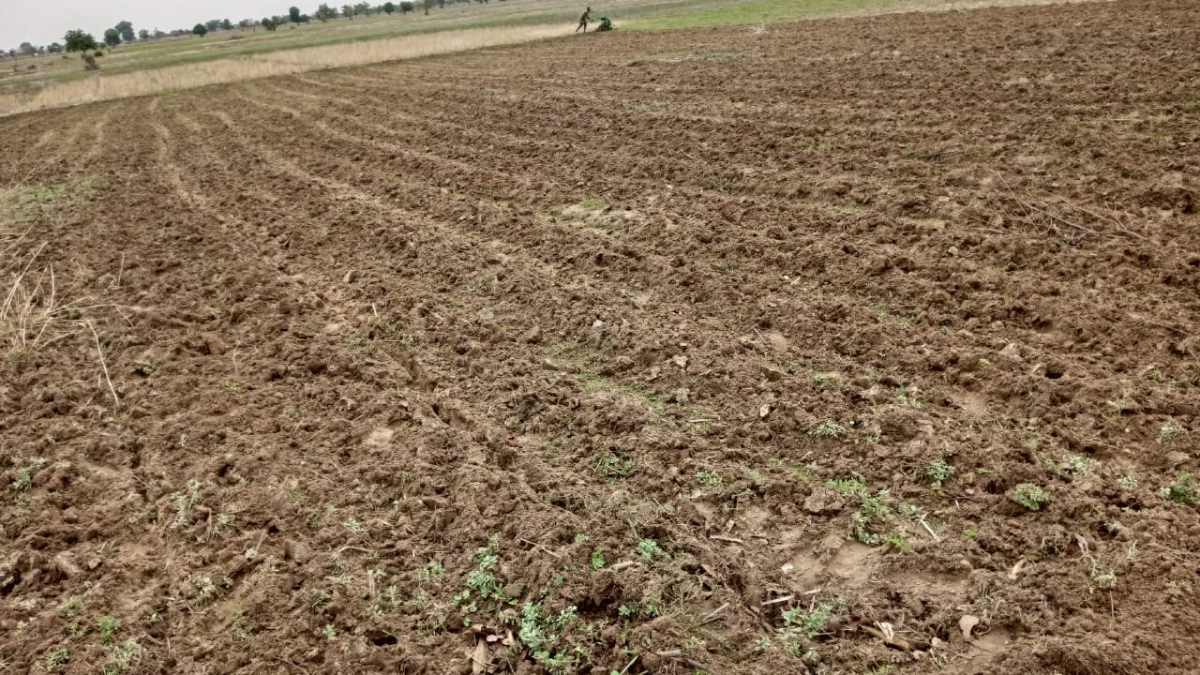 THE ROLE OF FACTORS OF PRODUCTION IN RICE FARMING: UNDERSTANDING THE KEY RESOURCES FOR SUCCESSFUL CROP PRODUCTION